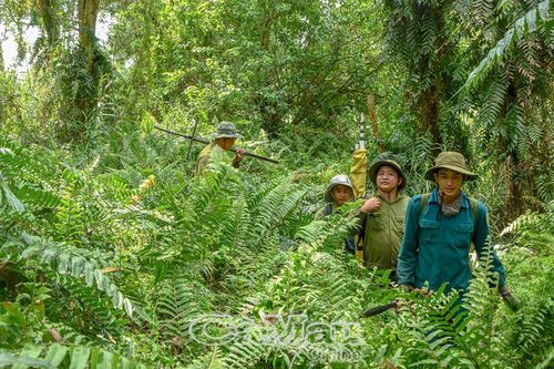Phát huy giá trị Vườn Quốc gia U Minh Hạ