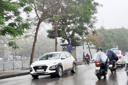 Bắc Bộ sáng có mưa phùn, ngày có mưa nhỏ rải rác