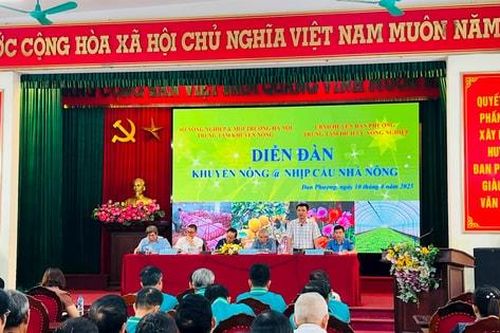 Nông dân Đan Phượng được tư vấn về khoa học, kỹ thuật