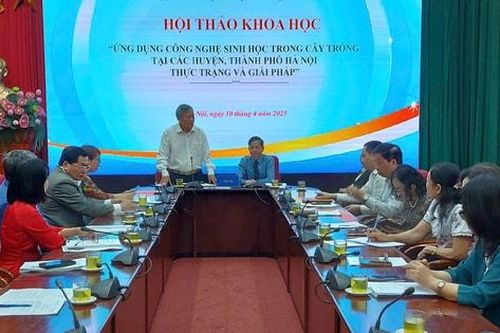 Hà Nội đẩy mạnh ứng dụng công nghệ sinh học trong nông nghiệp