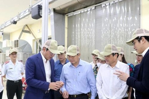 Nỗ lực kéo giảm tai nạn lao động