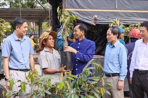 Gieo mầm xanh thắp lên những hy vọng