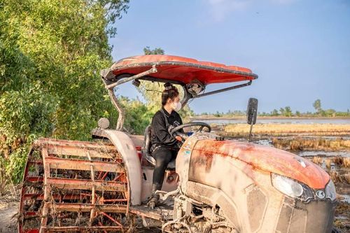 Cô gái 19 tuổi lái máy cày điêu luyện ở Kiên Giang