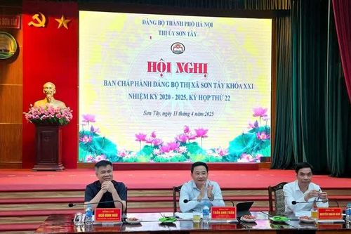 Vi phạm đất đai hâm nóng kỳ họp Ban Chấp hành Đảng bộ thị xã Sơn Tây