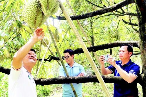 Làng tỷ phú bên sông Đồng Nai