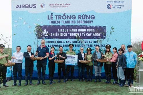 Airbus hưởng ứng chiến dịch 'Trồng 1 tỷ cây xanh', hỗ trợ trồng rừng ngập mặn