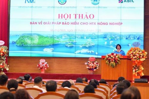 Bảo hiểm nông nghiệp: 'Tấm khiên' vững chắc cho hợp tác xã