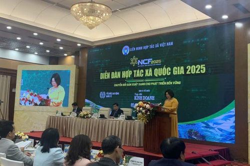 Triển khai các giải pháp xanh để phát triển bền vững