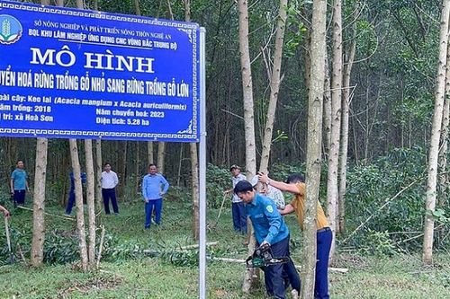 Thủ tướng phê duyệt Quy hoạch Khu lâm nghiệp ứng dụng công nghệ cao tại Nghệ An