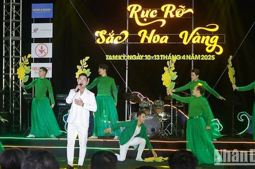 Lễ hội 'Tam Kỳ - Mùa hoa sưa năm 2025'