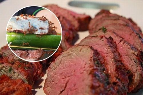 Về Tam Đảo ăn bò tái kiến đốt - Vừa sợ vừa mê