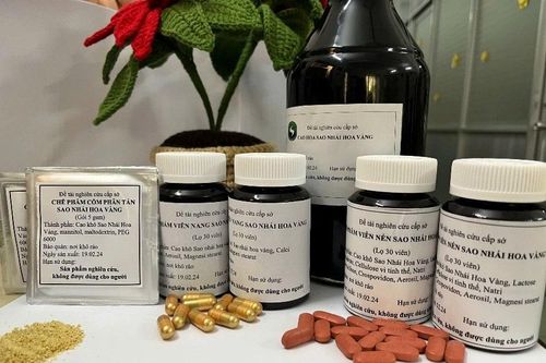 Chế phẩm dược liệu hỗ trợ điều trị gout