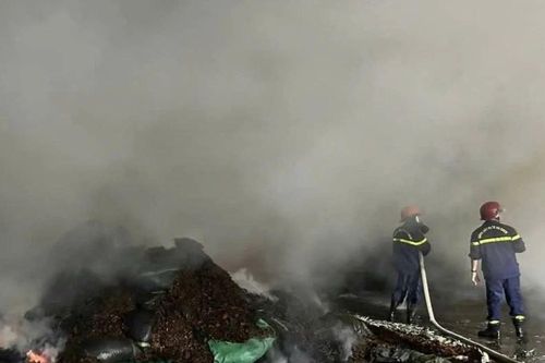 Điều tra nguyên nhân cháy xưởng quế ở Yên Bái