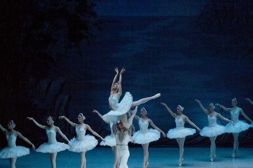 Hình ảnh vở ballet kinh điển 'Hồ thiên nga' sắp trình diễn ở Nhà hát Hồ Gươm