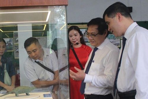 Tượng đồng tê tê Long Giao - đỉnh cao nghệ thuật luyện kim thời sơ kỳ đồ sắt