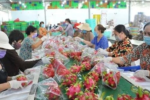 Việc doanh nghiệp Việt cần làm ngay khi Mỹ hoãn áp thuế 46%