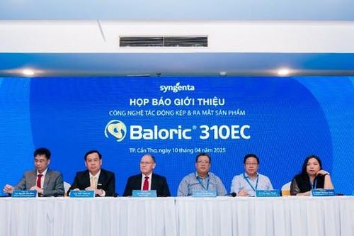 Nông dân có giải pháp mới và tiên tiến trong xử lý cỏ dại