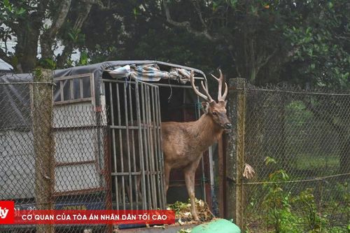 VQG Cúc Phương giải cứu an toàn 18 cá thể động vật hoang dã quý hiếm