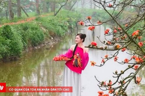 Xử lý nghiêm hành vi tự ý thu phí 'check in' tại khu vực cây gạo phường Tiên Nội