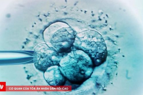 Mang thai nhầm con của người khác