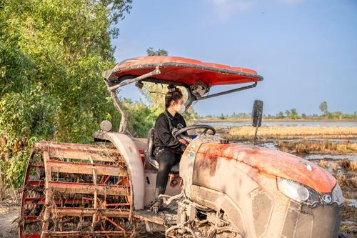 Cô gái Kiên Giang miệt mài lái máy cày: Chỉ mong cha mẹ được sung sướng
