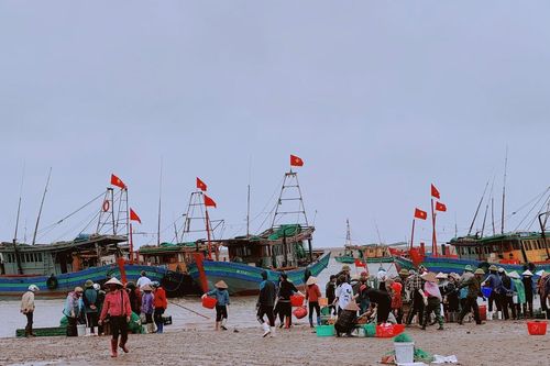 Phiên chợ đặc biệt ở Nam Định: Người bán chưa đến, khách đã chen chân chờ