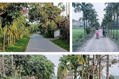 Xã Phong Thịnh (huyện Thanh Chương) đón nhận Bằng công nhận đạt chuẩn nông thôn mới nâng cao năm 2024: Vươn mình từ vùng quê khó thành điểm sáng