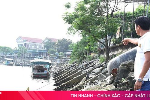 Đê Hữu Nghèn sụt lún, hàng trăm hộ dân bất an