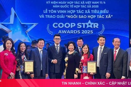 Hà Tĩnh có 2 hợp tác xã nhận giải 'CoopStar Awards' 2025