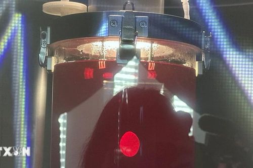Trái tim iPS có nhịp đập xuất hiện tại EXPO 2025 gây kinh ngạc