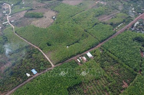 Đề xuất đầu tư tuyến đường kết nối Bình Phước với Đồng Nai