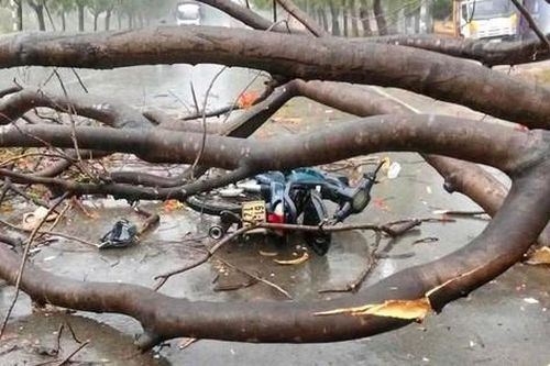 Bình Dương: Một người tử vong, hàng chục căn nhà tốc mái vì mưa giông