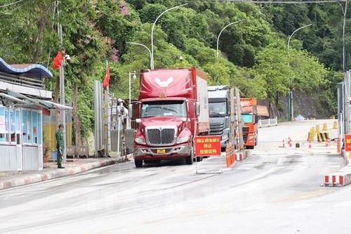 Hợp tác kinh tế thương mại Việt-Trung duy trì tốc độ tăng trưởng nhanh
