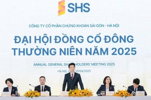Né cú sập chứng khoán, SHS dồn lực quản lý tài sản