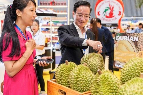 Vina T&T và bài toán sinh tồn trong biến động thuế quan Mỹ