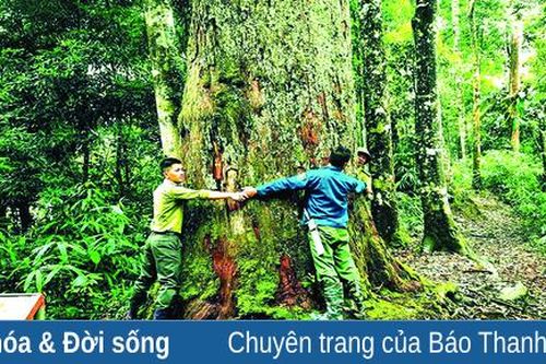 'Từ khu bảo tồn... đến Vườn quốc gia Xuân Liên' (Bài 1): 'Ngôi nhà lớn' về đa dạng sinh học