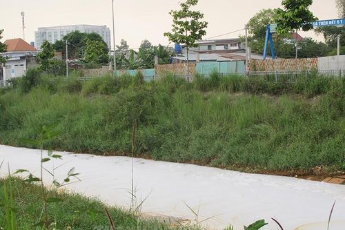 TP.HCM yêu cầu xử lý ô nhiễm môi trường nước tại các điểm nóng