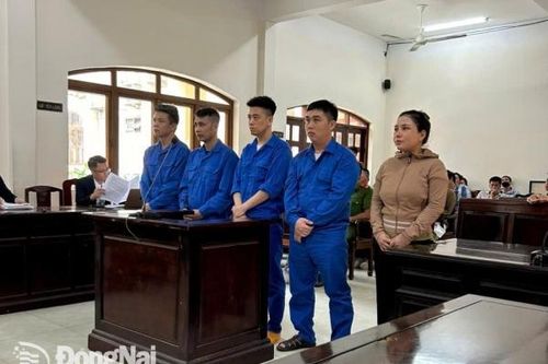 Nguyên Chủ tịch Hội đồng quản trị Công ty Bất động sản Đại Lộc Phát lãnh 22 năm tù