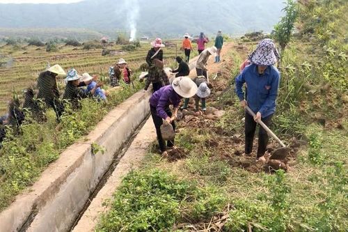 Đảm bảo nguồn nước phục vụ sản xuất