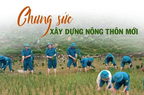 Chung sức xây dựng nông thôn mới