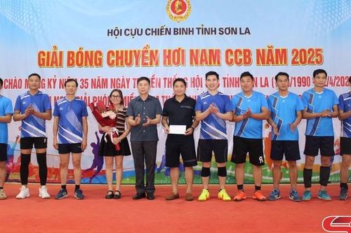 Giải bóng chuyền hơi nam cựu chiến binh năm 2025