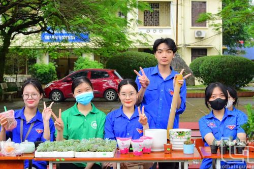 Hành động nhỏ, lan tỏa lớn