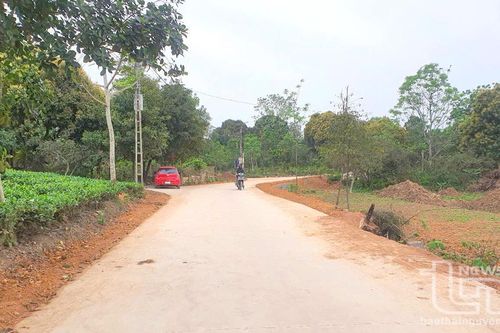 Đầu tư gần 8 tỷ đồng làm đường bê tông ở Phúc Trìu