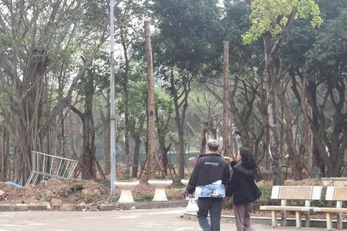 Hà Nội đồng loạt hồi sinh các công viên, mở rộng không gian xanh