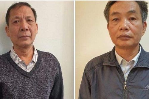 Cựu lãnh đạo Tổng công ty Chè Việt Nam sắp hầu tòa vì mang 'đất vàng' đi góp vốn