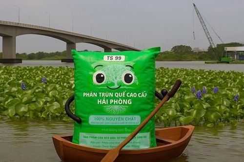 HTX biến phụ phẩm thành 'vàng', góp phần kiến tạo nền nông nghiệp tuần hoàn