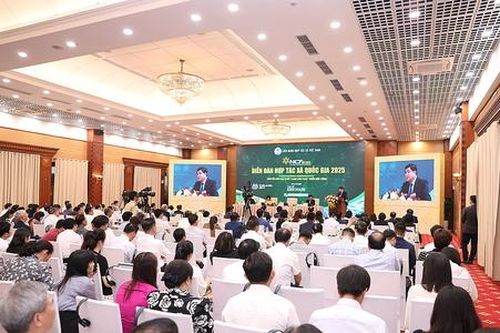 Góc nhìn của các tổ chức quốc tế về vai trò của HTX ở Việt Nam