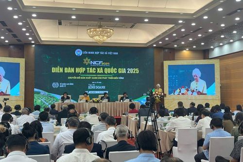 Hợp tác xã chuyển đổi xanh để bứt phá