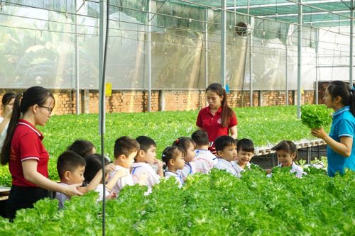 TP. Hồ Chí Minh nhân rộng mô hình nông nghiệp sinh thái