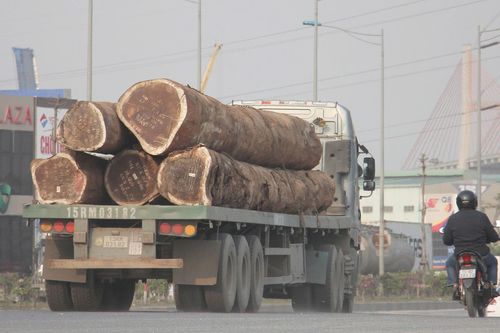 Nhan nhản 'hung thần' chở khối gỗ, ống bê tông chực chờ lăn trúng người đi đường